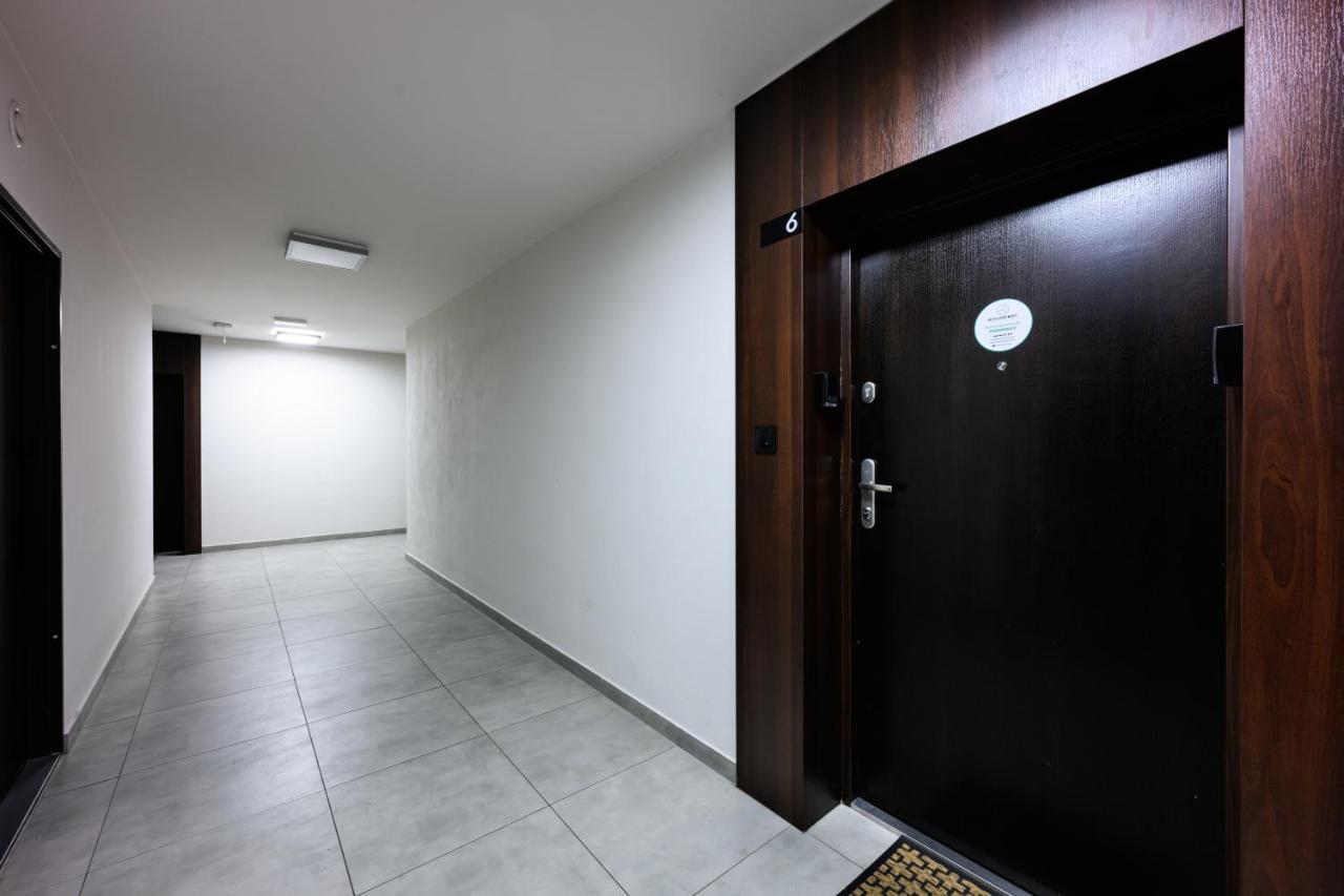 Native Apartments Masarska 8 克拉科夫 外观 照片