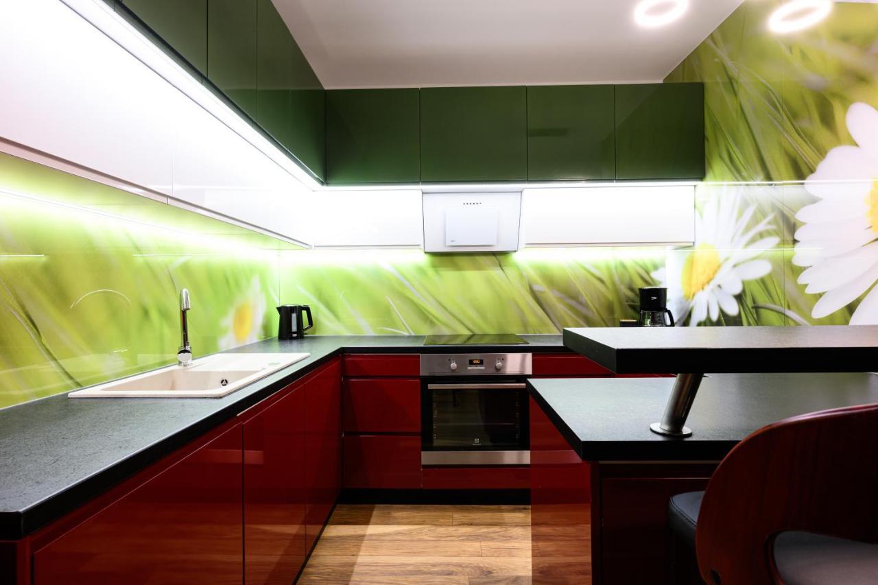 Native Apartments Masarska 8 克拉科夫 外观 照片